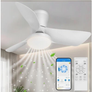 Ceiling Fans Lights with APP & Remote Control: 30 Inch Low Profile Ceiling Fans with Lights Reversible Small Flush Mount Ceiling Fan 3 Colors Quiet 6 Speeds Ceiling Fan for Bedroom Livingroom Kitchen