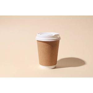 Paper To-Go Coffee Cups And Lids 100ct 160z