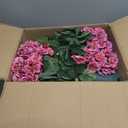 Artificial Geranium Bush 20 Inch Outdoor Potted Artificial Plant for Front Porch, UV Resistant Faux Flower Bush for Garden, Yard & Patio Decor (2 Pack)