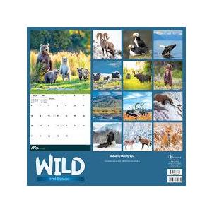 Wild Calendar 2026 2 set