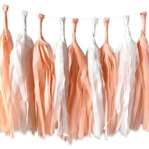 ALLHEARTDESIRES , Peach Tassel Garland, One Sweet Peach Birthday Party Decor, Peach Baby Shower, Peach First Birthday Backdrop, Peach Bridal Shower Wedding Hanging Décor Supplies,3 Pieces