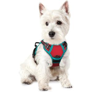 rabbitgoo Dog Harness No Pull with 2 Leash Clips, Adjustable Soft Padded, Reflective Oxford No Choke Pet Vest with Easy Control Handle for Puppy, Red & Teal, XS (X-Small)