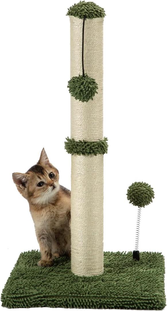 Cat Scratching Post Premium Basics Kitten Scratcher Sisal Scratch Posts with Hanging Ball 22in for Kittens or Smaller Cats, Cactus Green (22 inches for kitten)