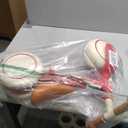 Radio Flyer Steady Start Balance Bike, Red, for Kids Ages 1-3, Pedal Free for Quick Learning, Wide Front and Dual Rear Tires, Tool-Free Adjustable Seat, Quiet Ride Wheels, Kid & Toddler Balance Bikes