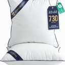 Utopia Bedding Throw Pillow Inserts (Pack of 2, White), 22 x 22 Inches Decorative Indoor Pillows for Sofa, Bed, Couch, Cushion Sham Stuffer
