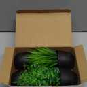 Der Rose Fake Plants 4 Packs Artificial Plants Small Faux Plants Black Bathroom Accessories for Halloween Bathroom Home Kitchen Coffee Table Office Desk Decor Indoor (Green)