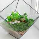 NUOBESTY Faux Moss for Plants Indoor Artificial Green Moss 4.72X4.72 Inch Maintenance-Free Planter Decor for Fairy Garden Wedding Table Centerpiece