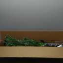 5 FT Pre-Lit Artificial Xmas Tree with Colorful Fiber Optics & 361 PVC Branch Tips