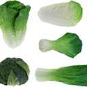 Woration Green Artificial Vegetables Set Lifelike Lettuce Broccoli Cabbage PU Food Model Decoration for Home Kitchen Shop Cabinet Supermarket Garden DIY Garland 5pcs