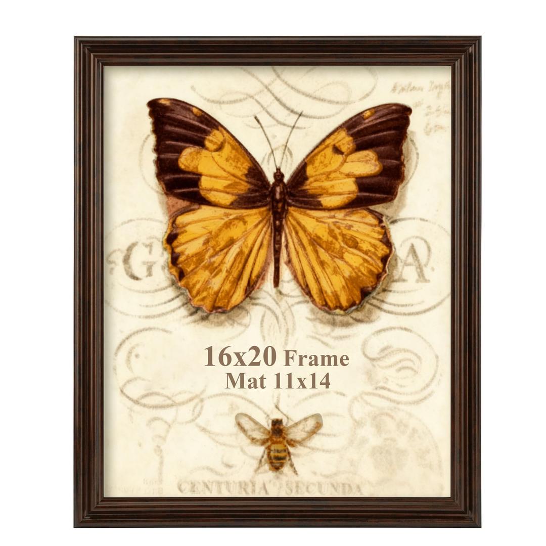 Splinterix 16x20 Picture Frame, 2 Pack 16 x 20 Photo Frame for Wall or Tabletop Display, Ornate Vintage 20x16 Picture Frames with Plexiglass, Display Poster 11x14 with Mat or 16x20 without Mat for Antique Déco, Brown