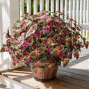 Florisso Artificial Greenery Plants Outdoor, 5 Pcs Faux Coleus Plants UV Resistant Silk Plants with Stems, Fake Plants for Outside Garden Patio Hanging Planter Pathway Front Porch Decoration(Red)