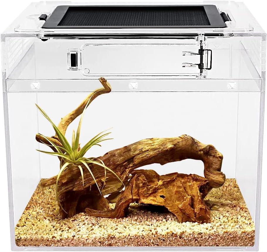 Reptile Growth mini Reptile Terrarium, 8" x 8"x 8" Reptile Tank with Full View Visually Appealing for Insect, Fish, Tarantula, Hermit Crab, Jumping Spider, Iguana, Tortoise, Leopard Gecko, Frog, Bearded Dragon