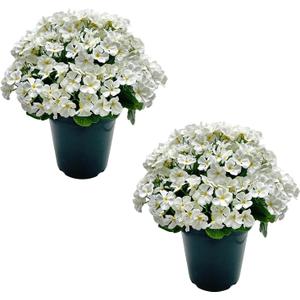 Romantic season 2 Pack Artificial Geranium Bush – Realistic 20" Faux Flowers for Indoor Outdoor Home Decor, Garden, Patio, Planter, Office, Wedding Centerpiece, UV Resistant, White
