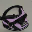 ShawnCo Essential Dog Harness, No-Pull Pet Vest with 3 Leash Clips, No Choke, Reflective, Adjustable and Padded, for Easy Walking and Training for Small, Medium and Large Dogs (ICY Lilac, XS)