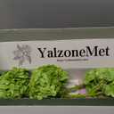 YalzoneMet 3 Pcs Orange Brown Hydrangea Artificial Flowers 21‘’ Real Touch Latex Hydrangea Fake Flowers for Fall Home Decor Party Kitchen Bedroom Bronze Vintage Flower Table Centerpieces