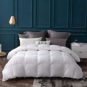 Globon Goose Down Comforter Queen Size All Season Down Duvet Insert,400 Thread Count Ultra Soft Noiseless Shell,800 Fill Power with Corner Tabs,White (Queen 90*90in)