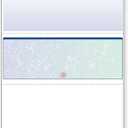 DocuGard Blue/ Green Prismatic Middle Check, 8.5 x 11 Inches, 24 lb, 500 Sheets, 1 Check Per Sheet (04535)