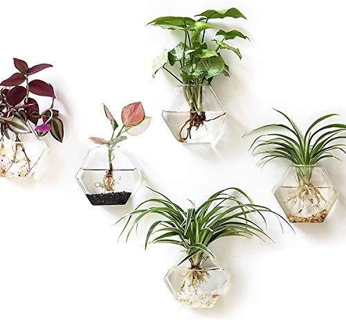 Kingbuy Hexagon Wall Planter Set - 3 Pack Glass Propagation Terrarium Vases with Hanging Mounts for Indoor Plants, Air Plants & Hydroponic Stations Home Office Decor, Plant Lover Gifts (Medium)