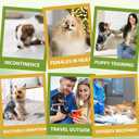 2 x IMMCUTE Dog Heat Diapers Female, X-Small, 60 Count, Breathable & Adjustable Disposable Dog Diapers, Super Absorbent, Female Dog Diapers for Heat, Excitable Urination, Incontinence