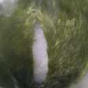 Protective Gear for Skiing Skating Snowboarding Cute Turtle Tortoise Cushion Green (Large-20.5inch)