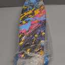 Complete 22 Inches Skateboard (EARTHP)