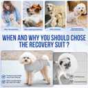Lukovee Recovery Suit for Dogs - Zipper On Onesie for Female & Male Dogs, Abdominal Wounds Cone E-Collar Alternative, Prevent Licking - Spay Recovery Suit (Grey, XL)