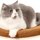 Curved Cat Wall Shelves and Perches, Floating Cat Wall Bed Furniture with Comfortable Cushion (Wood Shelf+Brown Cushion)