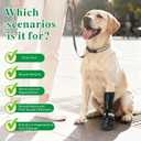 Idepet Dog Drop Foot Brace Strap On (No Knuckling Boot Brace) Dog Boot Leg Braces for Leg Support, Dog Shoes Lift Toes for Foot Issues, Arthritis, Pet Corrector for Dogs (7)