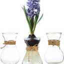 Small Glass Vases for Centerpieces - Hewory 3pcs Clear Mini Hyacinth Avocado Growing Bud Vase Bulk, Cute Tiny Flower Bulb Forcing Plant Containers Set for Wedding Home Living Room Table Decorations