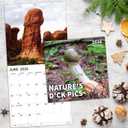 4 x 2026 Wall Calendar, 2026 Funny Calendar, Nature's D'ck Pics Calendar, 12 Months from Jan 2026 - Dec 2026, 12" x 24" Open, Thick Paper, Moon Phases, Holidays, Perfect Gag Gifts, White Elephant Gifts