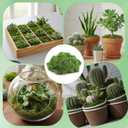 Fake Moss for Crafts 39" x 39" Faux Moss Mat with Base Fabric for Plants and100g Decorative Artificial Moss Green Faux Grass for Planters Crafts DIY Fairy Garden(Dark Green)