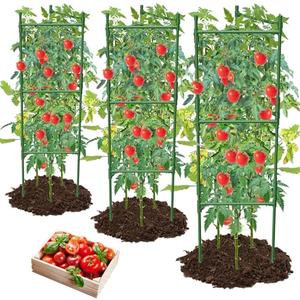MQHUAYU 3 Pack Tomato Cage,Tomato Cage for Raised Garden Bed, 48'' Tall Tomato Trellis Triangle or Square Cages for Garden,Pots, Plant Cages & Supports（Green, Extra Bold ）