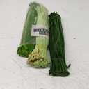 Harmoso Green Color Trio Pipe Cleaner Set - 300pcs, Thick Fluffy Chenille Stems for Arts & Crafts, Perfect for Making Animals, Flowers, and Festive Decorations(12 inches x 0.24 inches)