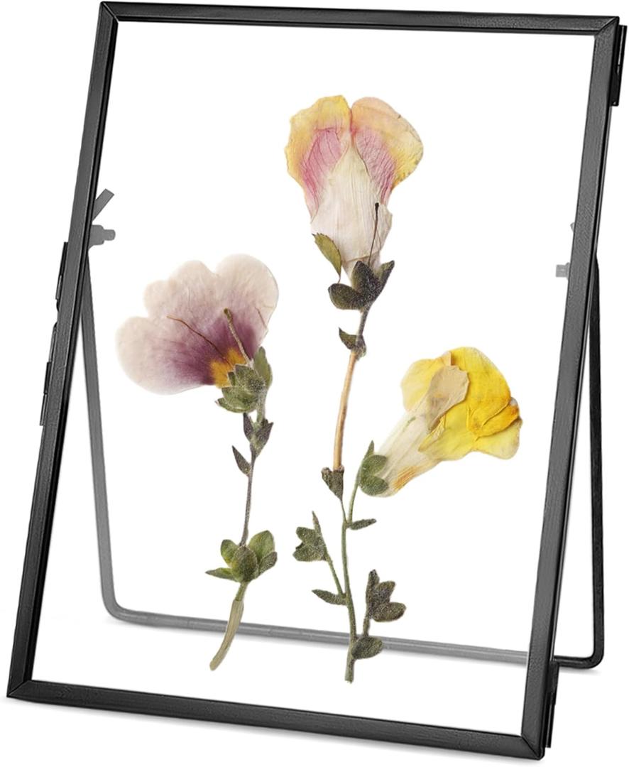 Glass Pressed Flower Frame Handmade, Floating Picture Frames for Pressed Flowers, Tabletop Artwork Photo Frames, Brass Desk Picture Frame for Home Office Plant Specimen, Black, 4x6 Inches (4L" x 6W")