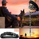 Dog Leash Metal Leashes Chain Rope with Pet Collar Training Walking Leads Heavy Duty Anti Bite 360 Hook for Medium and Large Dogs (Large)