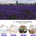 Dried Lavender Flowers, Dry Lavender Buds Bulk for Wedding Toss, Crafts, Sachets - 1 Pound