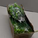 Sggvecsy Artificial Flowers for Outdoors 12 Bundles UV Resistant Boxwood Shrubs Artificial Eucalyptus Fake Plants Faux Plastic Greenery for Farmhouse Garden Indoor Outdoor Home Wedding Decoration