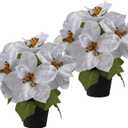 Poinsettias Flowers Artificial 2 Pack White Faux Christmas Poinsettia Plant Small 11 Inch Winter Flowers for Home Office Table Decorations Indoor Xmas Ornament (Cream)
