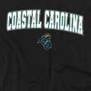 Official Collegiate Arch Logo Unisex Adult T Shirt Collection 3 (Black, L)