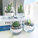 Winlyn 20 Pcs Assorted Artificial Succulents Plants Unpotted Small Green Cactus Echeveria Air Plant Picks Fake Succulents Bulk for Succulent Garden Wreath Floral Arrangement Indoor Outdoor Home Decor