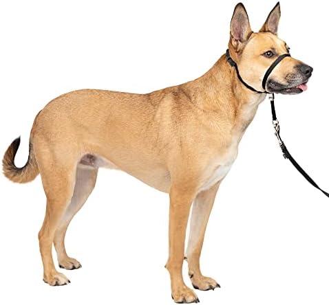 PetSafe Gentle Leader No-Pull Head Collar for Dogs, Dog Head Collar - The Ultimate Solution to Pulling, Padded Nose Loop, Quick-Snap Neck Strap, Dog Halter, Medium - Black