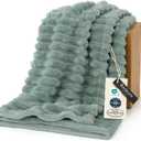 Bedsure GentleSoft Sage Green Throw Blanket for Couch - Cozy Soft Spring Blankets for Women, Cute Small Fleece Throws Spring Gifts for Women Teen Girls, Sage Green Decor Room Home, 50x60 Inches