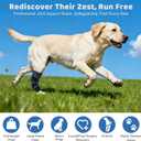 Dog Knee Brace for Back Leg Support, Hock Joint Compression Wrap ACL Brace for Hind Legs – Stabilizing Rear Leg Support for Senior & Overweight Dogs, Ideal for Medium & Large Breeds (M)
