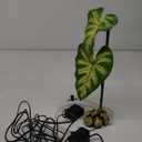 Exo Terra Dripper Plant, Small