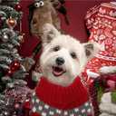 Dog Christmas Sweaters Christmas Sweater Cat Pet Xmas Clothes Cat Outfit Holiday Classic Winter Knitwear Warm Reindeer Snowflake Sweater for Kitty Puppy Dogs Cat (red)