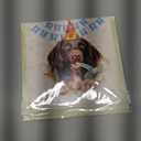 3D Pop-Up German Longhaired Pointer Birthday Card - Cute GLP Dog with Cake Celebration, Whimsical Happy Birthday Greeting for Dog Lovers