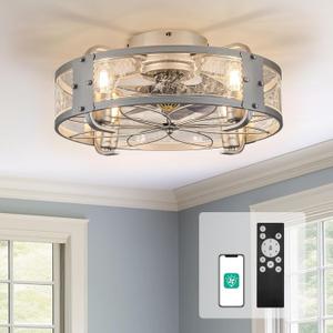 Orison 20" Ceiling Fan with Lights and Remote Control, Bladeless Caged Ceiling Fan with Light, Industrial Ceiling Fan Light Fixtures for Porch, Living Room, Bedroom(Silver) 