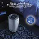 Clorox Medium Room Air Purifier True HEPA Replacement Filter, 1,000 Sq. Ft. Capacity, Removes 99.97% of Allergens up to 0.1 Micron, Compatible with 11030 & 11031, 1 Count (12030)