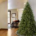 National Tree Company 6.5 ft Pre-Lit Jersey Fraser Fir Artificial Christmas Tree, 800 Clear Lights, 2,224 Tips, Includes Stand, Green
