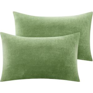 BEDELITE Flannel Pillowcases Standard Set of 2, Super Soft Fleece Pillow Case Cover with Zipper for Bedroom, Sofa, Couch,Luxury Cozy Velvet Pillow Shams for All Seasons(20x26 Inches, Sage Green)